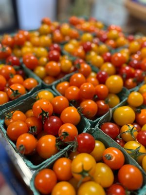 tomates cerises (4 variétés)