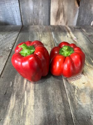 poivron rouge en serre