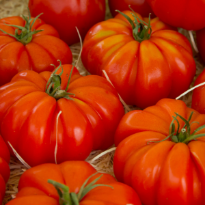 tomates ancestrale rouges